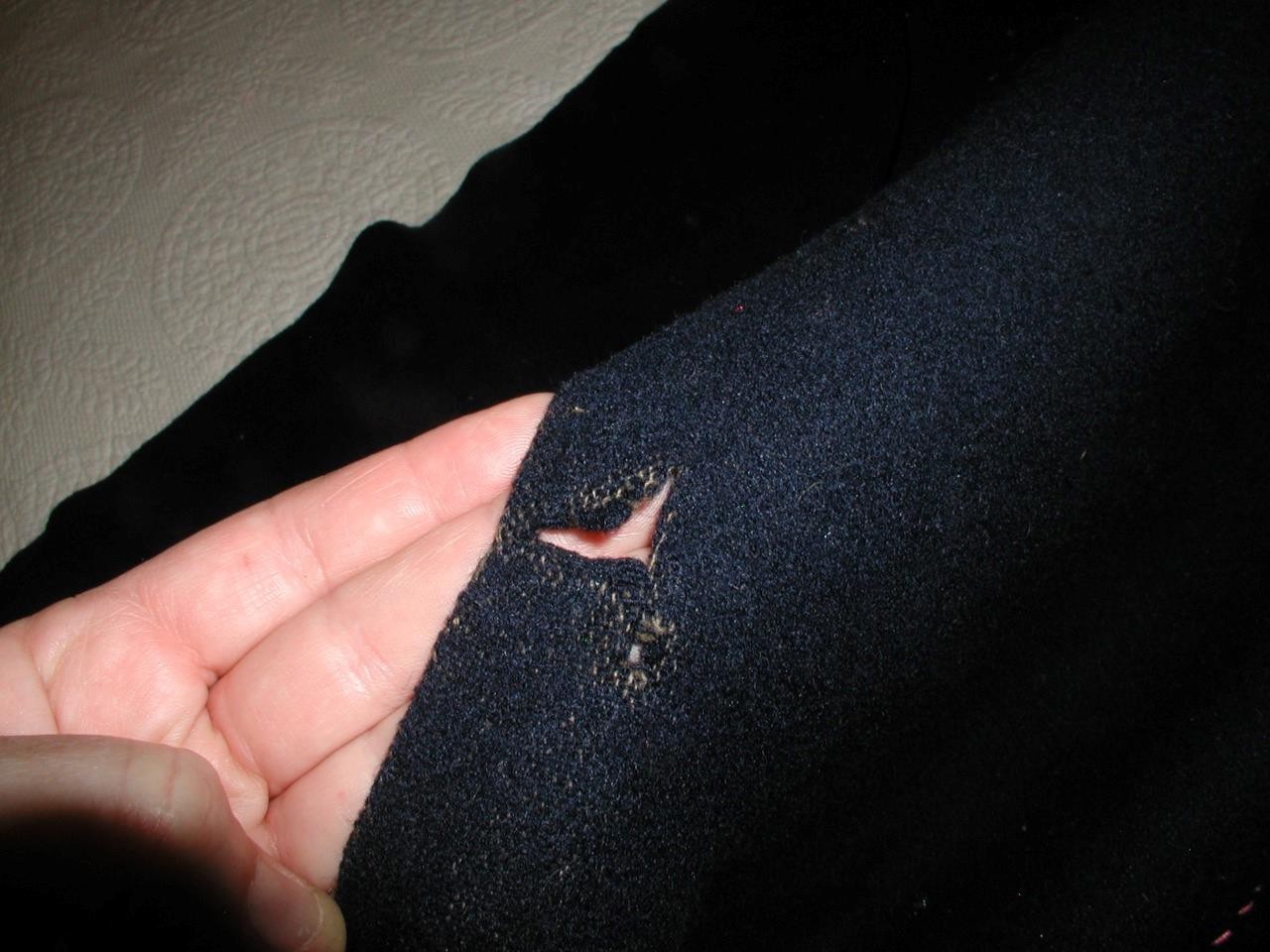 Picture 8 of 8