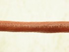 Foto 2 di 6