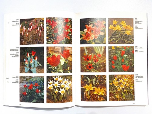 Hay, Synge, Herklotz, Menzel, Gartenblumen - Bild 9 von 12
