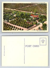 Florida Orange Groves from Air Postcard 1938 Unposted