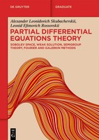 Partial Differential Equations Theory | Skubachevskii (U. A.) | Englisch | Buch