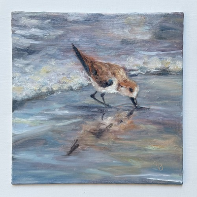 #ad #ad Original Sandpiper Sanderling Painting Coastal Beach Hand painted In Oils $89.00