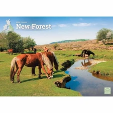 New Forest 2026 A4 Wall Calendar