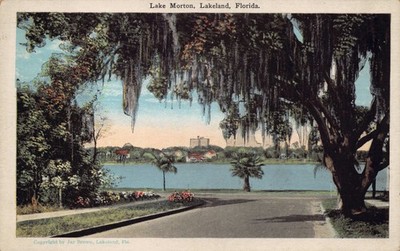 Vtg Postcard Lake Morton Marble Arcade, Terrace Hotel Lakeland, FL 1930s