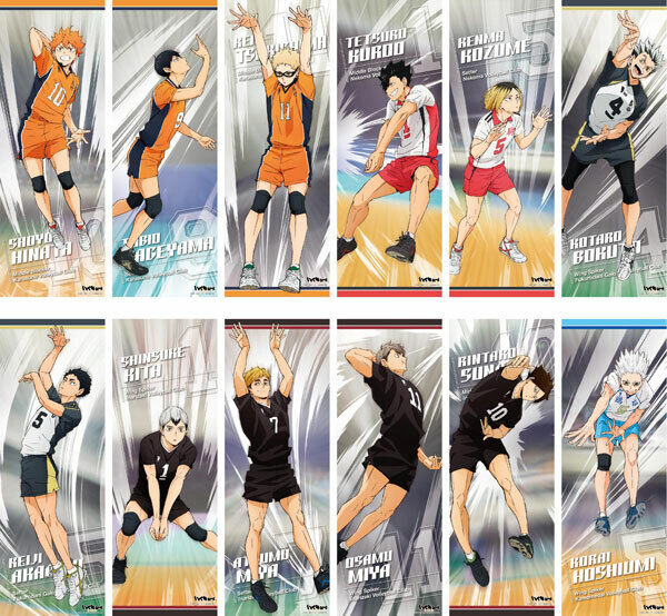 tricia 🌺 on X: New Haikyuu 「To The Top」key visual poster