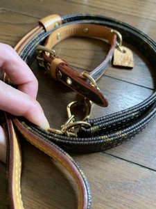 lv dog leash