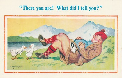 Postcard Scotsman at rest - ducks - publisher: D. Constance in Littlehampton GB