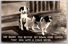 Animals~Say Buddy You Better Sit Down Here Comes That Dog~B&W~PM 1946~Postcard