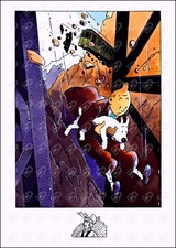 Tintin • Pascal Somon •