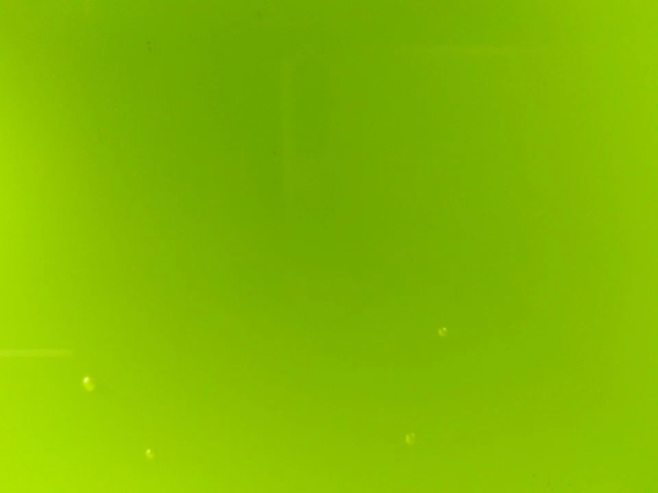 Chlorella vulgaris, Zuchtansat z+ ANLEITUNG. Futter f. Daphnia, etc. 2,4Liter! - Bild 4 von 4