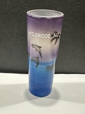 Wildwood NJ Double Shooter Shot Glass Alcohol Travel Beach