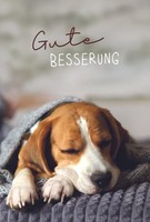 Genesung Gute Besserung Hund Beagle GlüCkwunschkarte Mit Umschlag