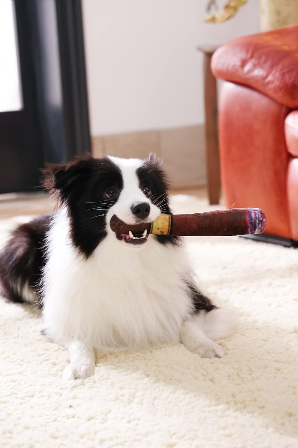 Funny Dog Toy with Interactive Squeaky Sound and Plush Cotton 