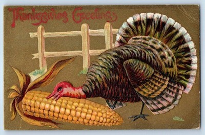 1911 Thanksgiving Greetings Turkey And Corn Embossed Beloit Wisconsin Postcard