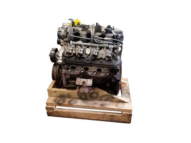 Recubrimiento de puerta arrugada estilo clásico motor usado para camioneta Sierra 1500 05-07 1021921 Foto 2 de 4