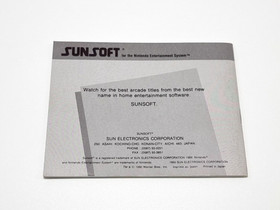 Gremlins 2: Die neue Charge Nintendo NES FRA