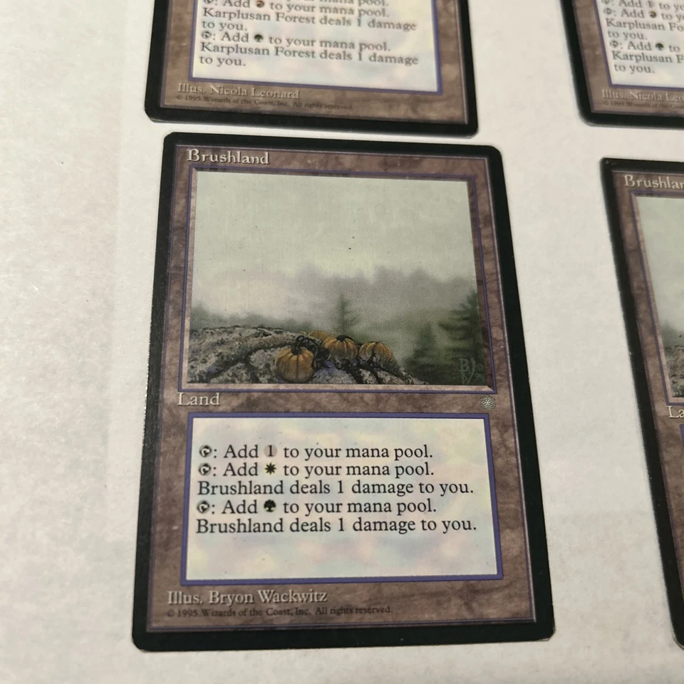 (2) Karpulsan forest, (2) Brushland - Image 4 of 4