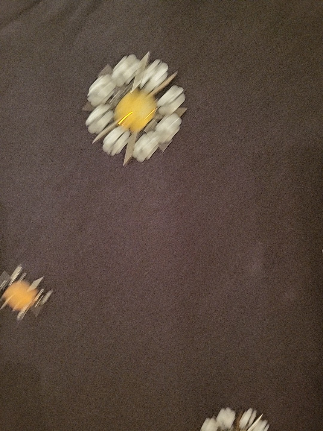 Picture 5 of 11