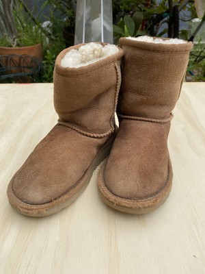 classic ii short wp boot