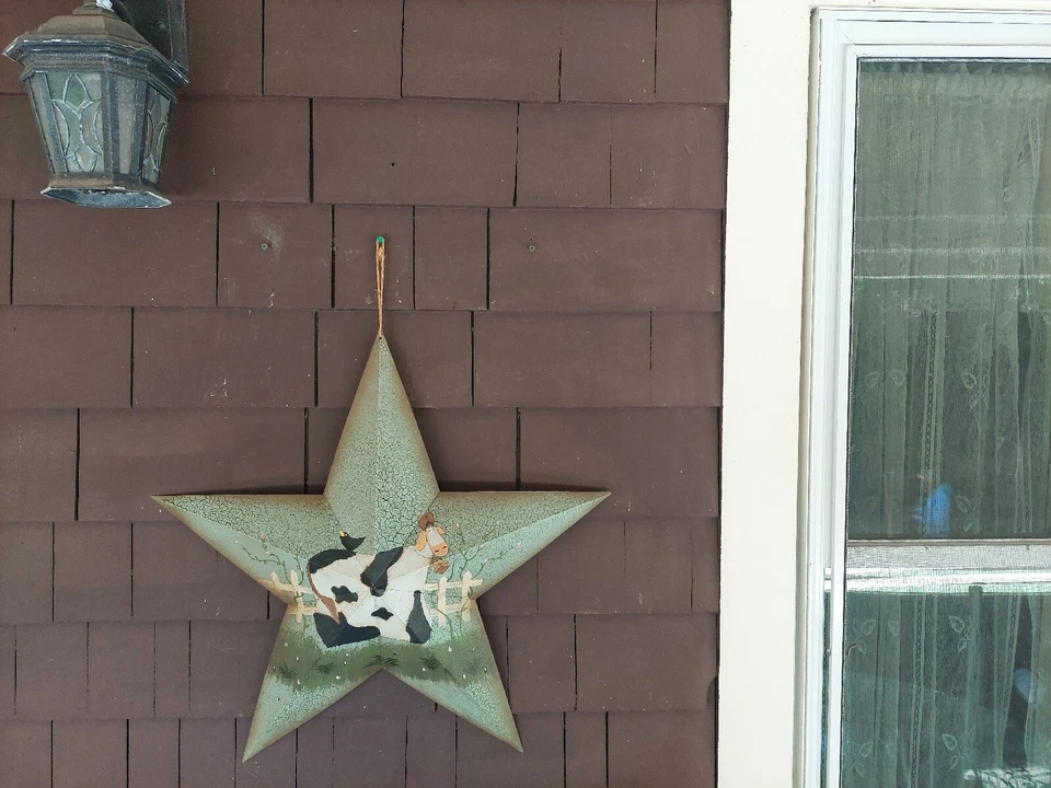 Estrella de Granero Decorativa 24" - Vaca y Pájaro en Campo por Cerca Foto 3 de 4