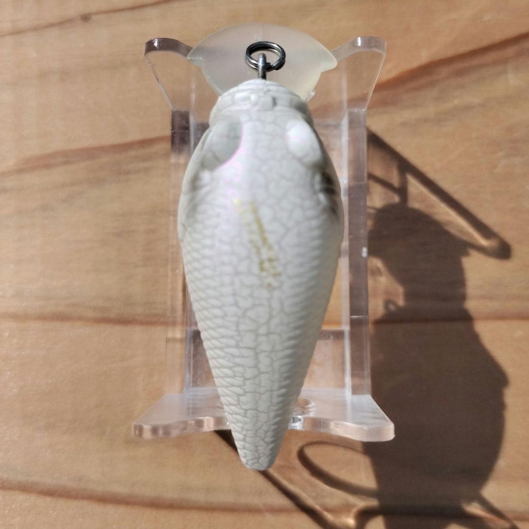 SR-X GRIFFON WHITE BUTTERFLY ホワイトバタフライ Sr-X Griffon White Butterfly | eBay