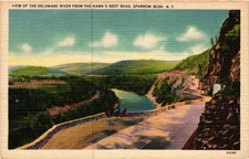 Vintage Linen Postcard Hawks Nest Road View Delaware River NY