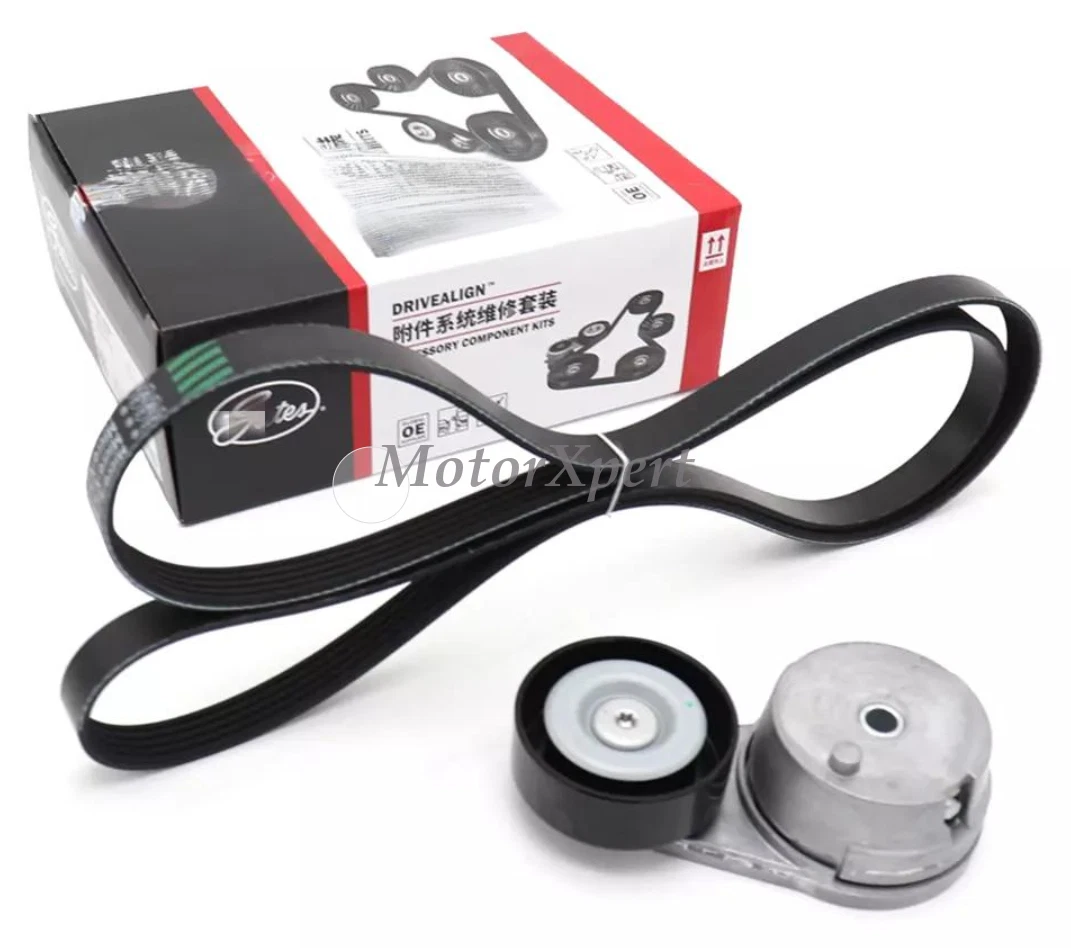 V-Ribbed Serpentine Belt - GM (24580771