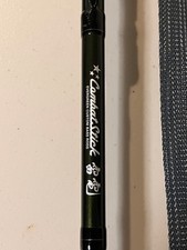 (B) Evergreen International Combat Stick casting rod 7’8” heavy swimbait