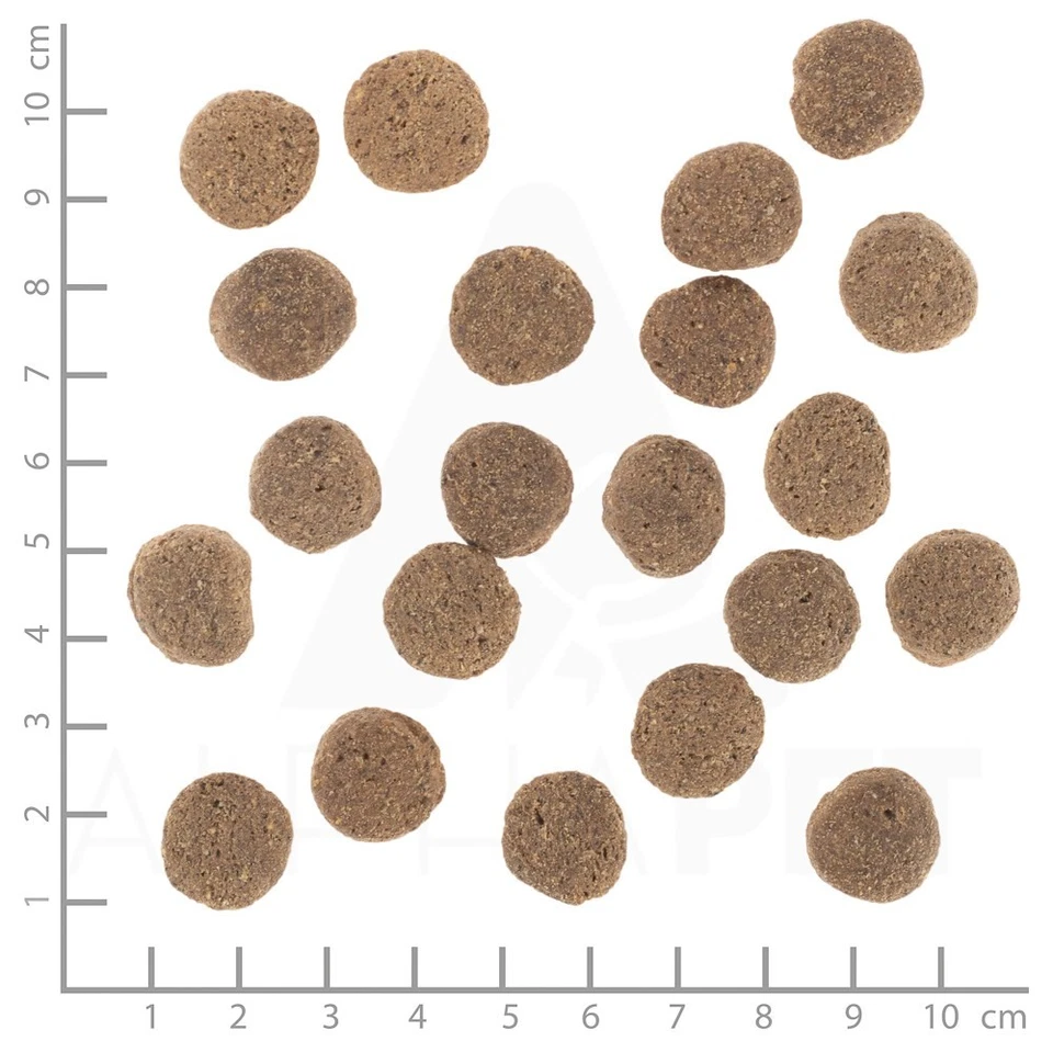 4260603786459 WOLFSBLUT VetLine Weight Management Turkey - trockenfutter für Hun - Bild 3 von 3