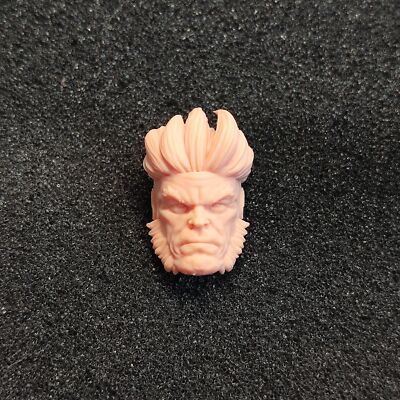 DIY 1/12th Sabretooth Head Sculpt Carved Fit 6inch Male Action Figure Doll Toy