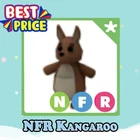 NFR Kangaroo - Adopt right now