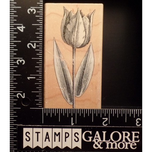 Hero Arts Rubber Stamps F1936 SMALL TULIP ETCHING GARDEN FLOWERS #2743