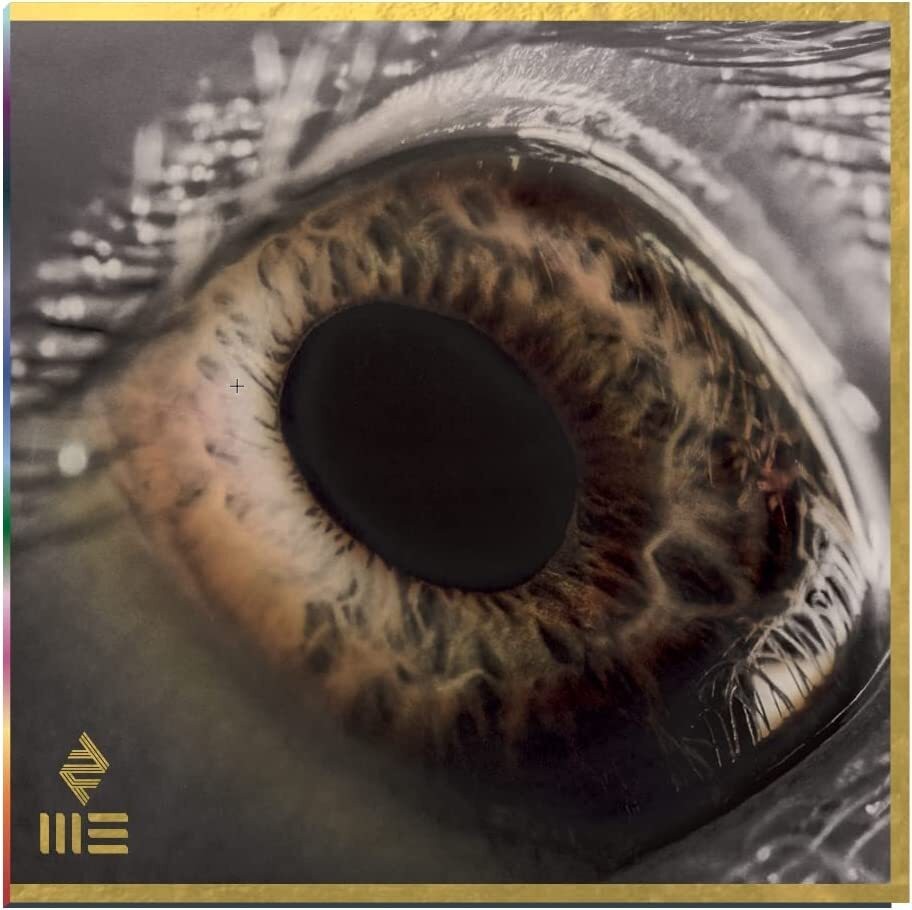 Arcade Fire WE (Vinyl LP) 12" Album Coloured Vinyl