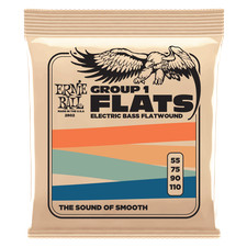 Ernie Ball Group 1 Flats Stainless Steel Flatwound Bass Strings 55-110