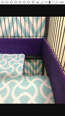 ferret nation scatter guard