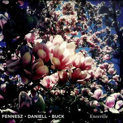Fennesz / Daniell / Buck / KNOXVILLE (CD) / Thrill Jockey / thrill246cd / CD