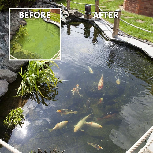 Blooming Fast Pond Clear Pro 2 Step pack - Medium