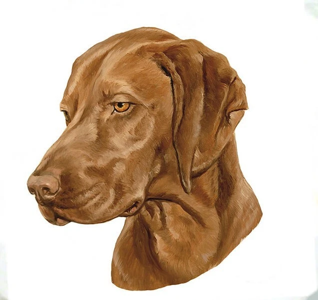 Vizsla bag top