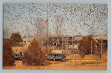 Missouri Valley Iowa IA Visitor Center Desoto Wildlife Refuge Chrome Postcard 
