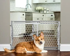 Carlson Pet Easy Fit Portable Pet Gate, Fits Openings 28-42" Wide, 23" Tall,
