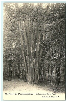 S04-7411, FORET DE FONTAINEBLEAU, LE BOUQUET DU NID DE L'AIGLE, ANTIQUE POSTCARD