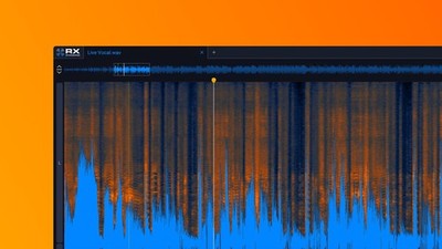 RX 12 Standard: From Any Paid iZotope Produ Crossgrade