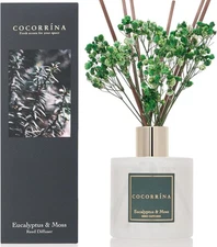 Cocorrína Reed Diffuser Sets- Eucalyptus & Moss Scented Diffuser with Sticks Ho