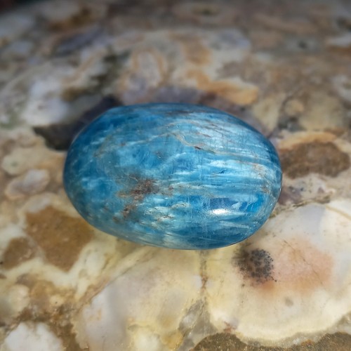 Only Blue Trommelstein blauer Apatit Nr8 Motivation Offenheit Apatite Zen Garten Only Blue Trommelstein blauer Apatit Nr8 Motivation Offenheit Apatite Zen Garten