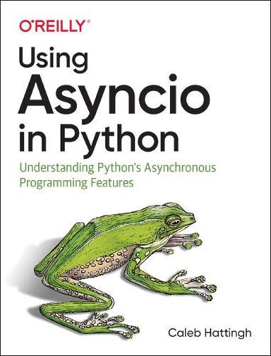 Caleb Hattingh Using Asyncio in Python (Poche) | eBay