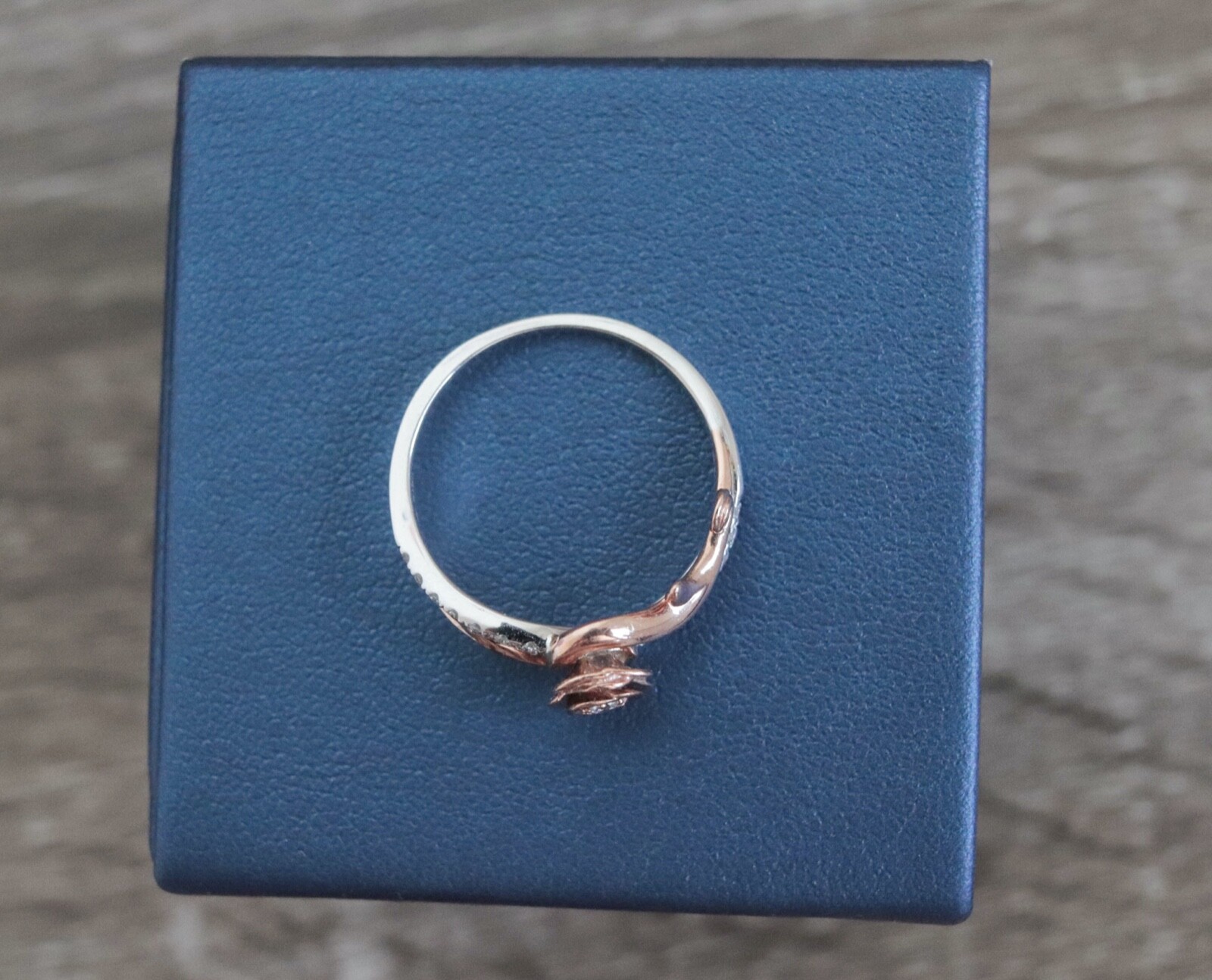 Enchanted Disney "Belle" Fine Jewelry Genuine Diamond 10K Gold