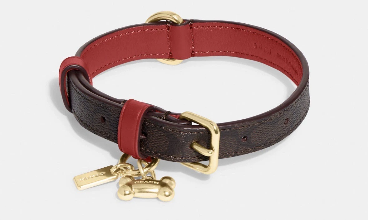 Coach Small Pet Collar Brown Black Red Apple CH144 New In