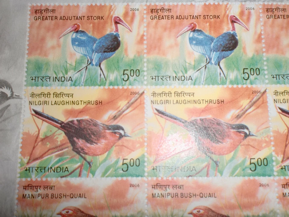 SELLOS DE LA INDIA - HOJA COMPLETA - 16 SELLOS DE GOMA - "AVES EN PELIGRO DE EXTINCIÓN DE LA INDIA" - 2006 Foto 3 de 4