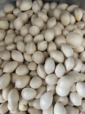 Ginkgo Nuts 2Lb 2024 New M To S Yinxing Organic Grow USA (Buy 3 Get 2 Free)