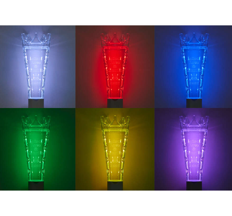 ARASHI LIVE TOUR 2026 “We are ARASHI” Official Goods – Penlight